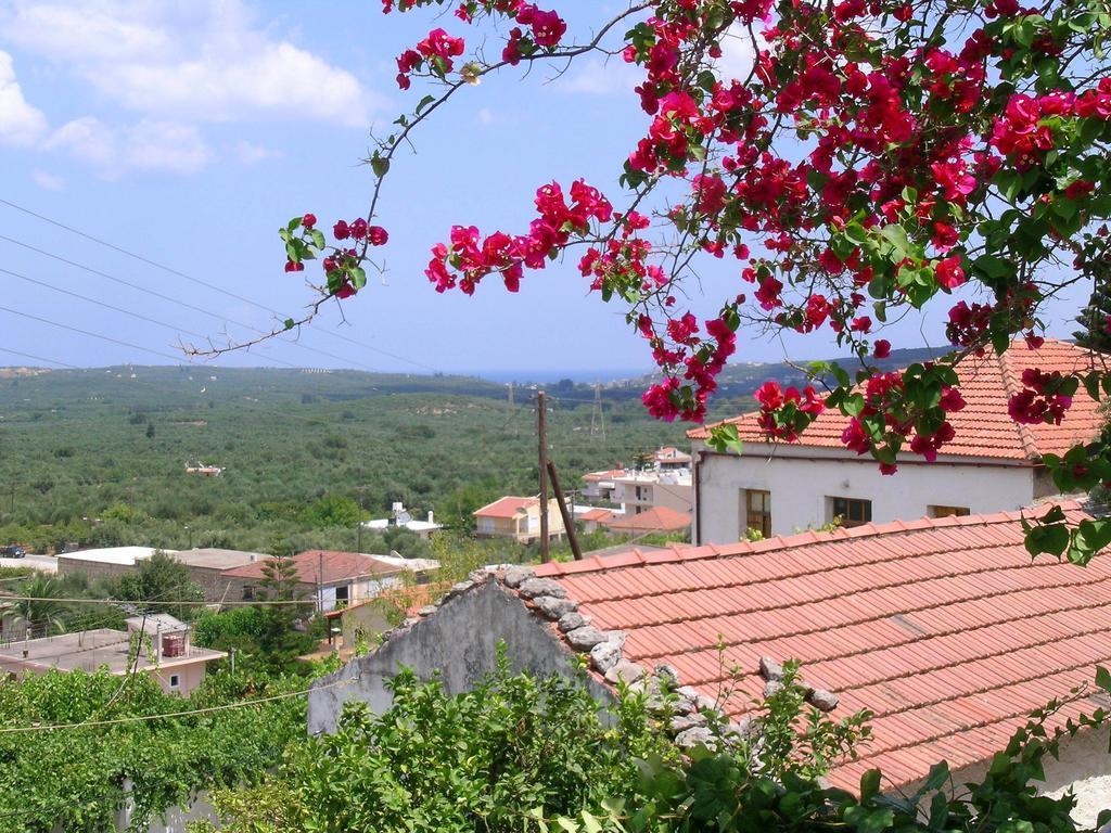 Fenareti Village House Makhairoí エクステリア 写真
